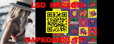 индика Можайск