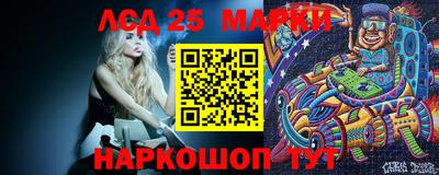 индика Можайск