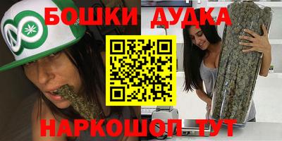 индика Можайск