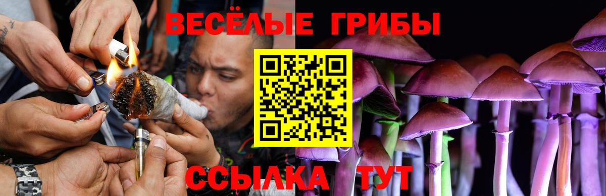 Галлюциногенные грибы ЛСД Усть-Илимск