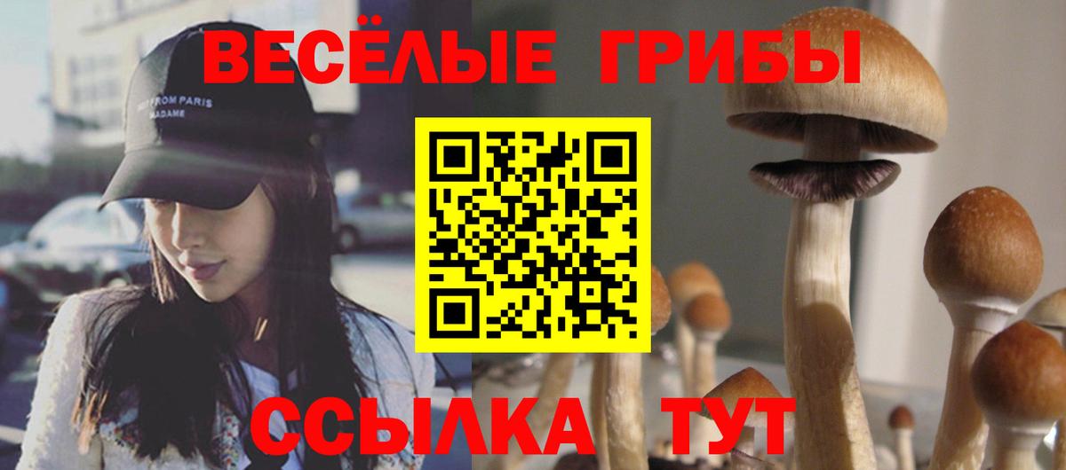 Усть-Илимск  Псилоцибиновые грибы Magic Shrooms  Вход с VPN  Псилоцибиновые грибы Cubensis 